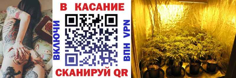 Как найти закладки Болотное СОЛЬ  Cocaine  Меф мяу мяу  МАРИХУАНА  БУТИРАТ  Гашиш 