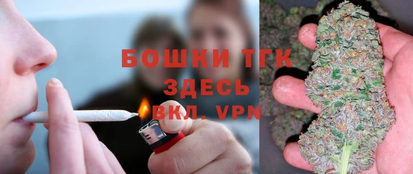 ешки Алексин