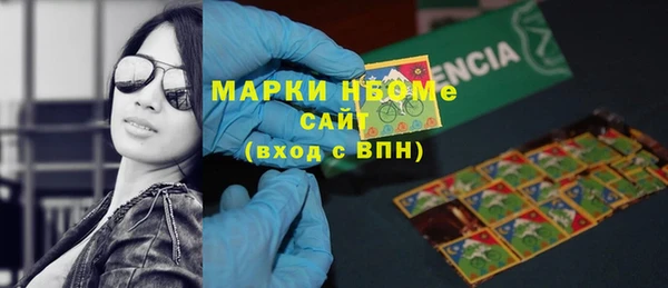 индика Абаза