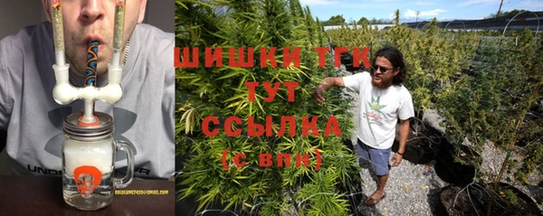 индика Абаза
