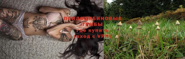 винт Абинск