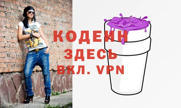 индика Абаза