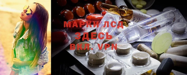 индика Абаза