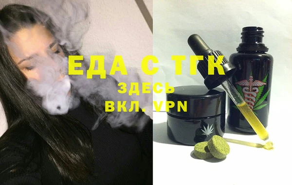 индика Абаза