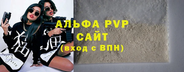 индика Абаза