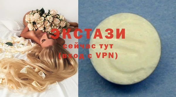 индика Абаза