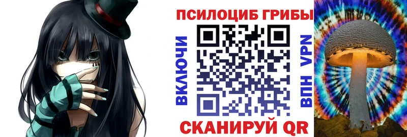 Псилоцибиновые грибы GOLDEN TEACHER  магазин    Болотное 